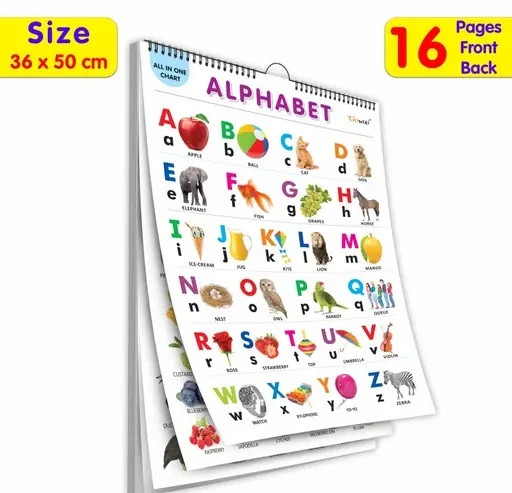 English Chart for Kids (16 Charts) 36x50 cm - Wall Picture Chart